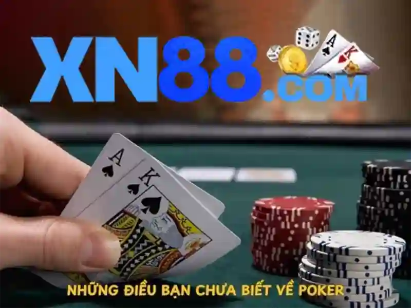 xn88 bet live – tổng quan