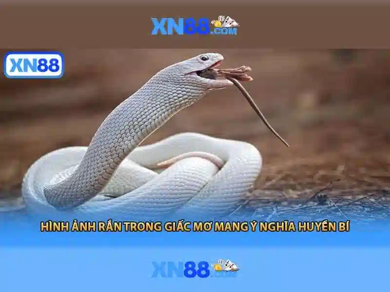 Giao diện nhà cái hoàn hảo