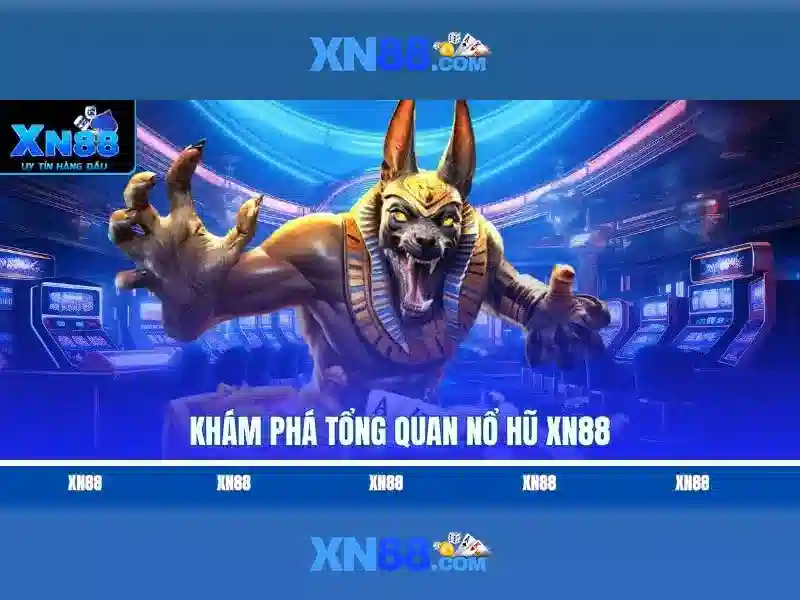 Hỗ trợ và trải nghiệm người dùng