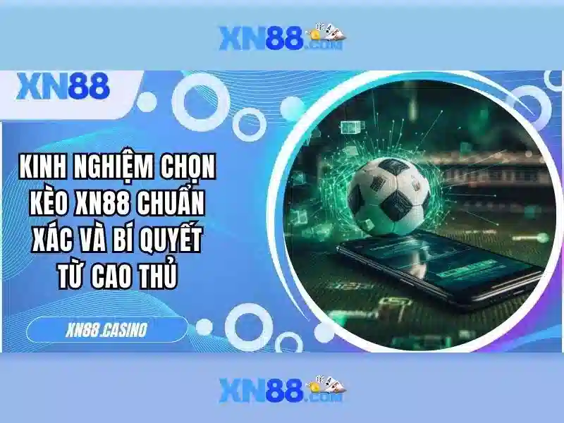 Các sản phẩm của xn88