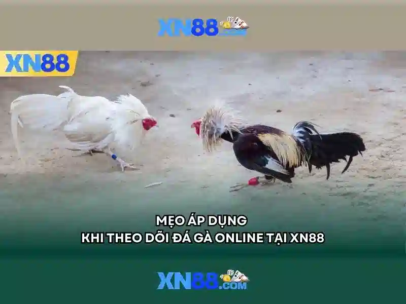 xn88 bet vip - Trải nghiệm đỉnh cao và cách chơi Giao diện nhà cái hoàn hảo