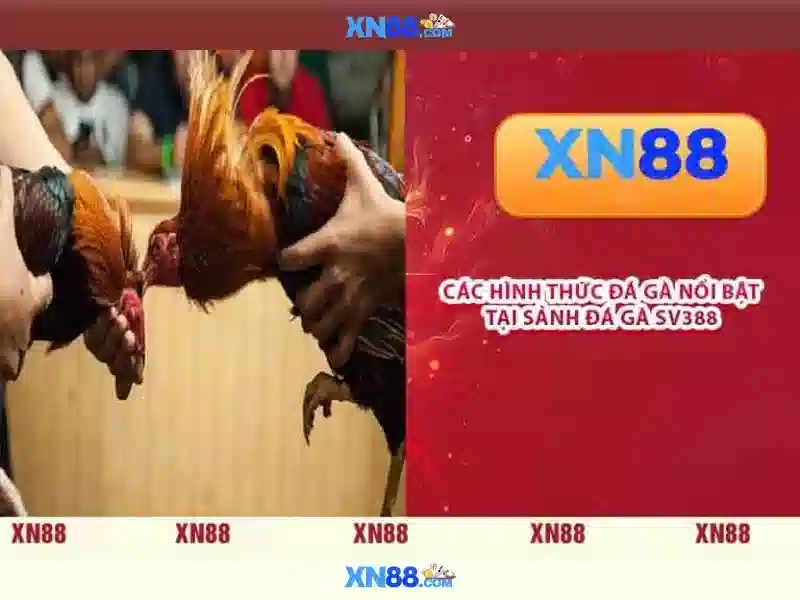 Giao diện nhà cái hoàn hảo