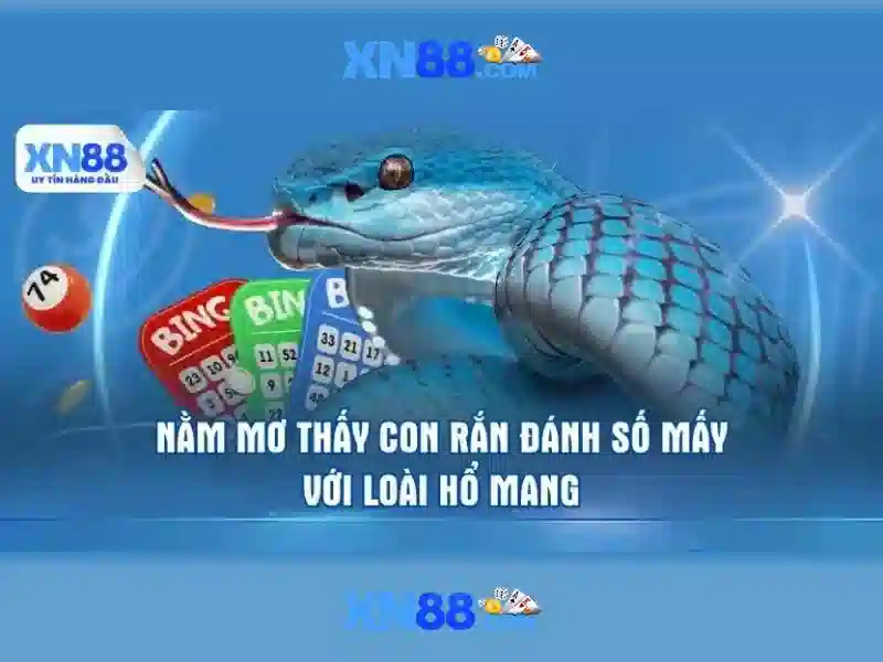 Trải nghiệm người dùng và phản hồi cộng đồng