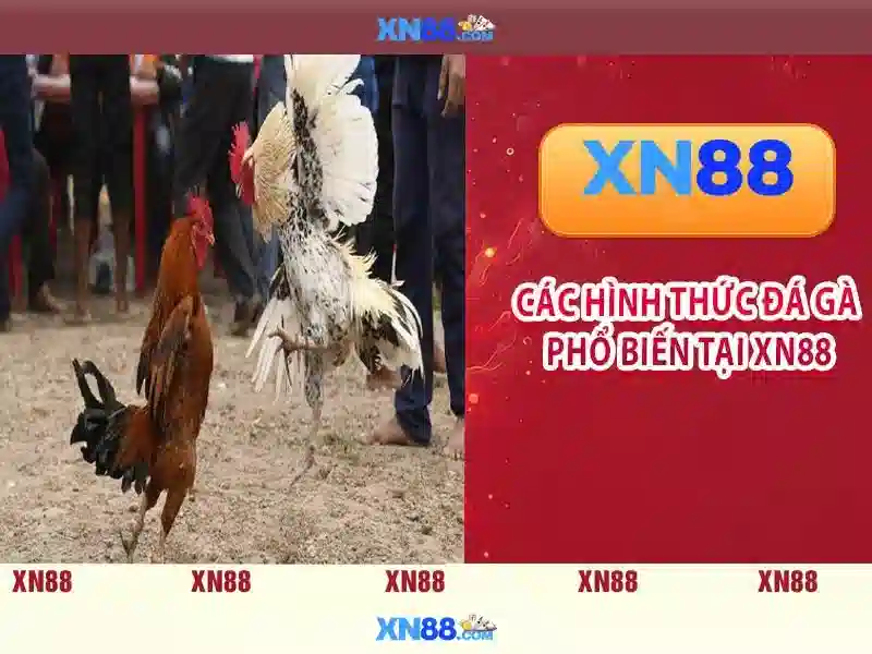 https://corpobellomedicalspa.com.co/images/text/xn88/xn88-text838.webp An toàn và tuân thủ\n\n