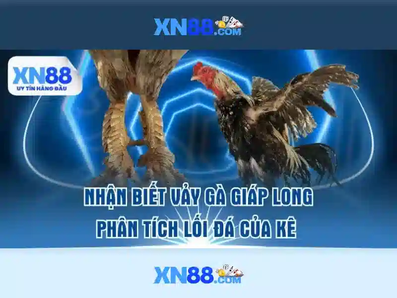 https://corpobellomedicalspa.com.co/images/text/xn88/xn88-text2603301841.webp Hỗ trợ khách hàng và thanh toán