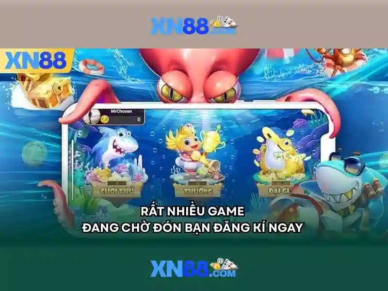 Nền tảng và giao diện