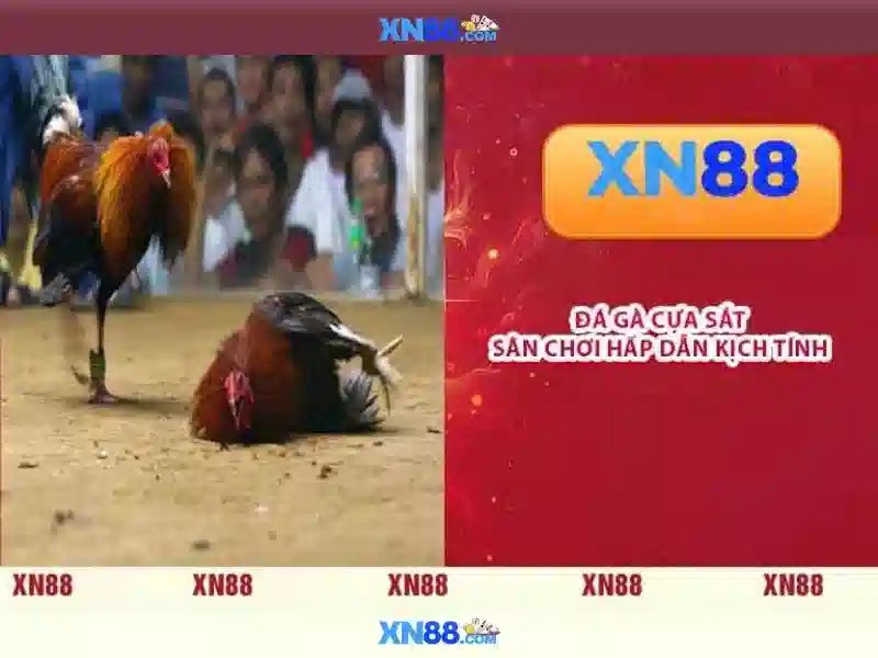 Các tính năng nổi bật của xn88\n