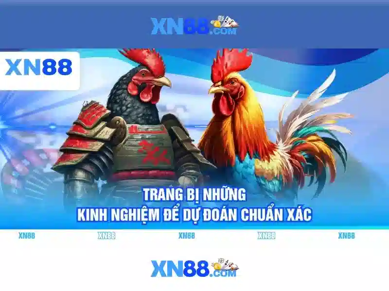 Giao diện nhà cái hoàn hảo