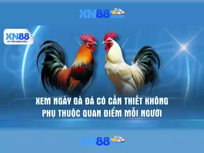 xn88 là gì: thương hiệu uy tín và trải nghiệm xn88 android