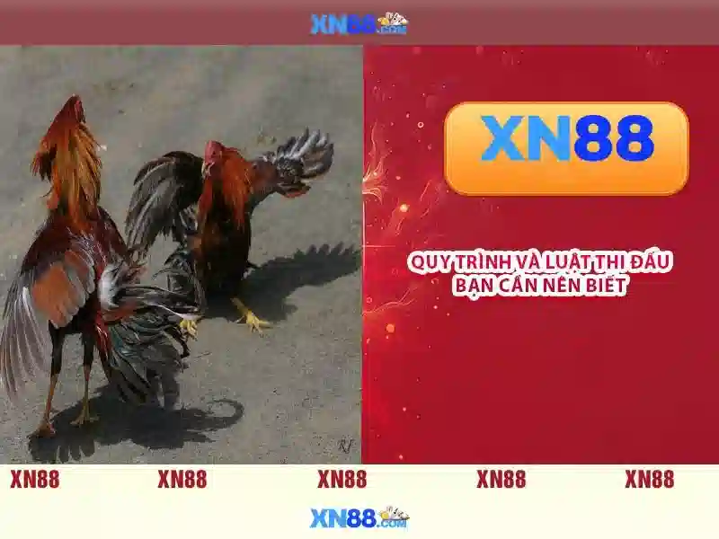 Nguồn gốc và sứ mệnh