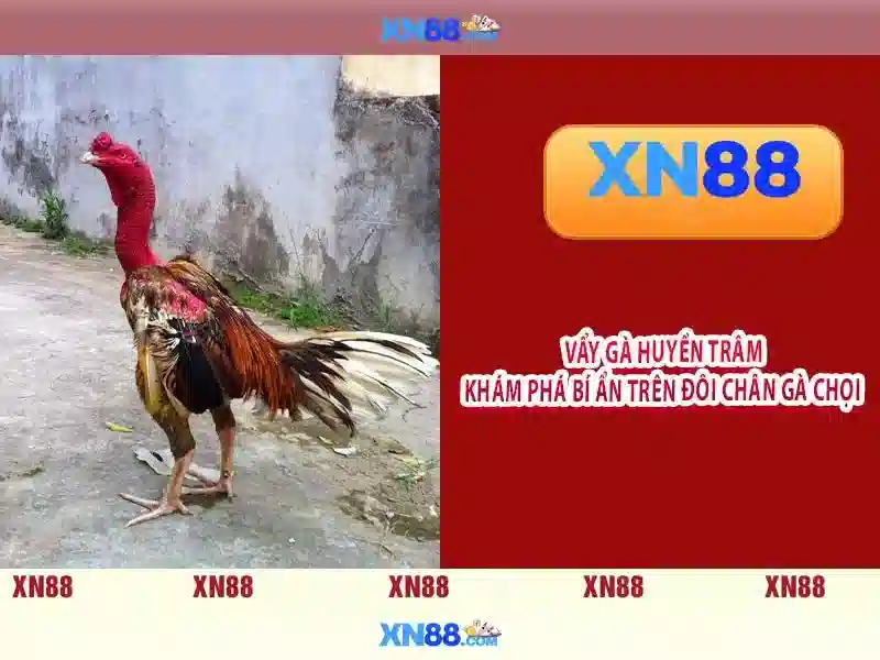 Giao diện nhà cái hoàn hảo