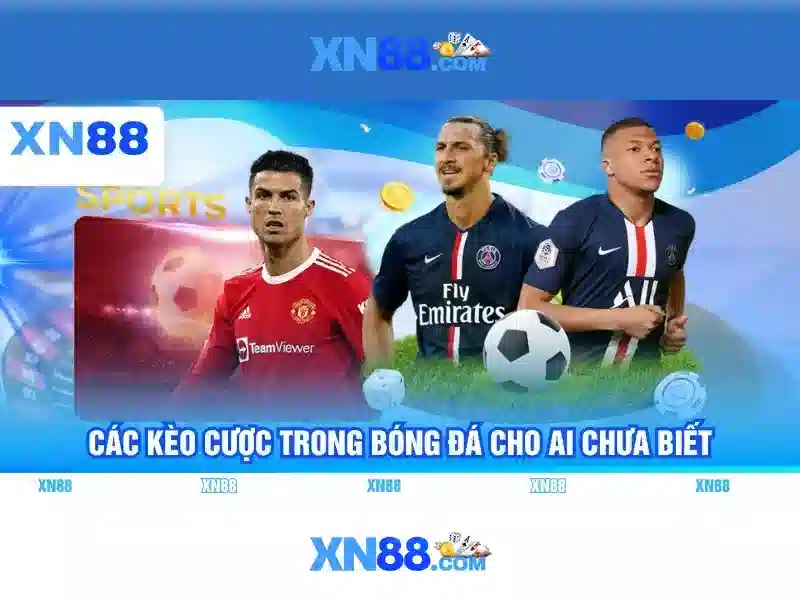 Tổng quan và giá trị cốt lõi