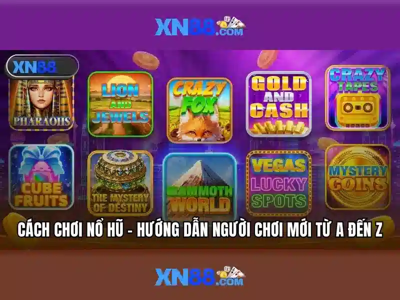 Xn88: một nền tảng giải trí và cược trực tuyến