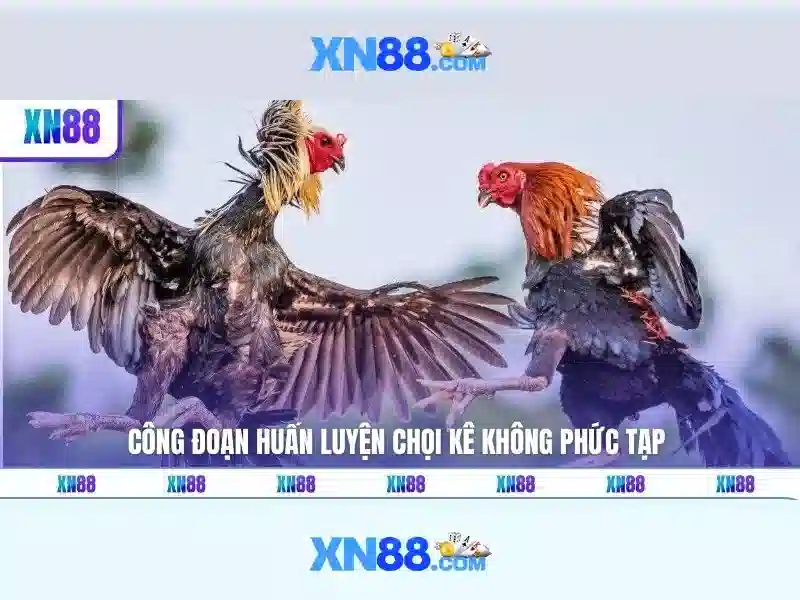 Giao diện nhà cái hoàn hảo