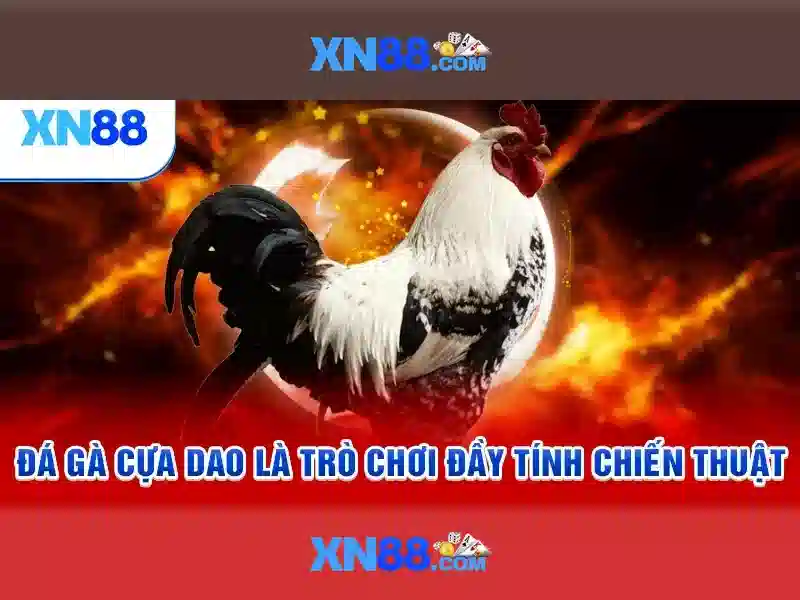 Giao diện nhà cái hoàn hảo