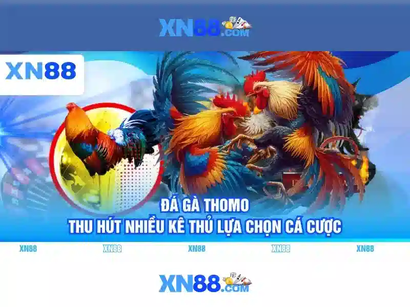 Giao diện nhà cái hoàn hảo