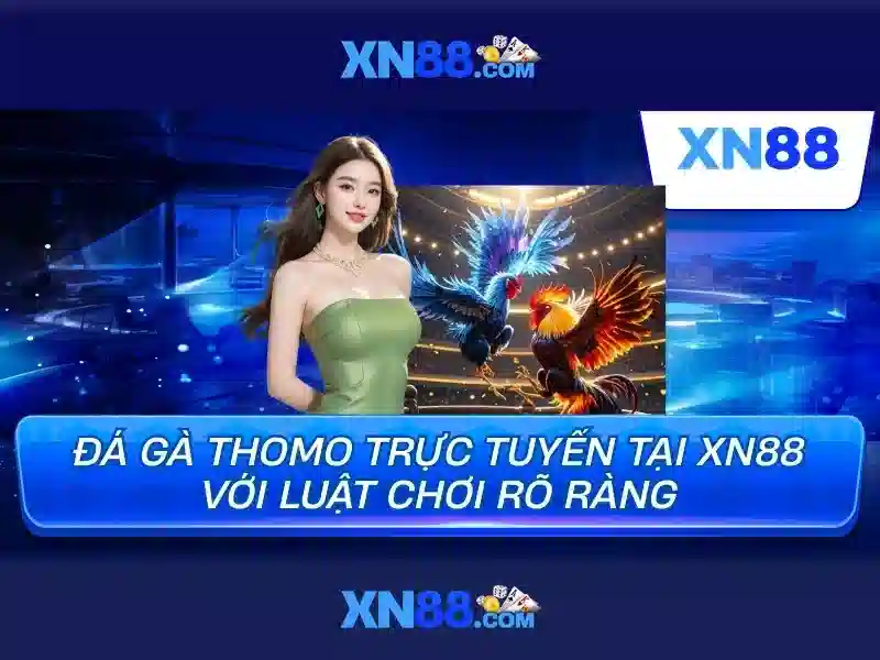 Giao diện nhà cái hoàn hảo