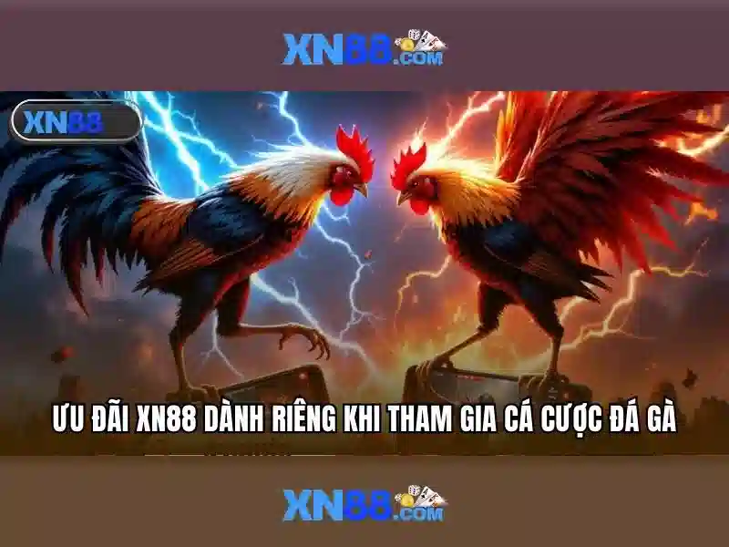 Giao diện nhà cái hoàn hảo