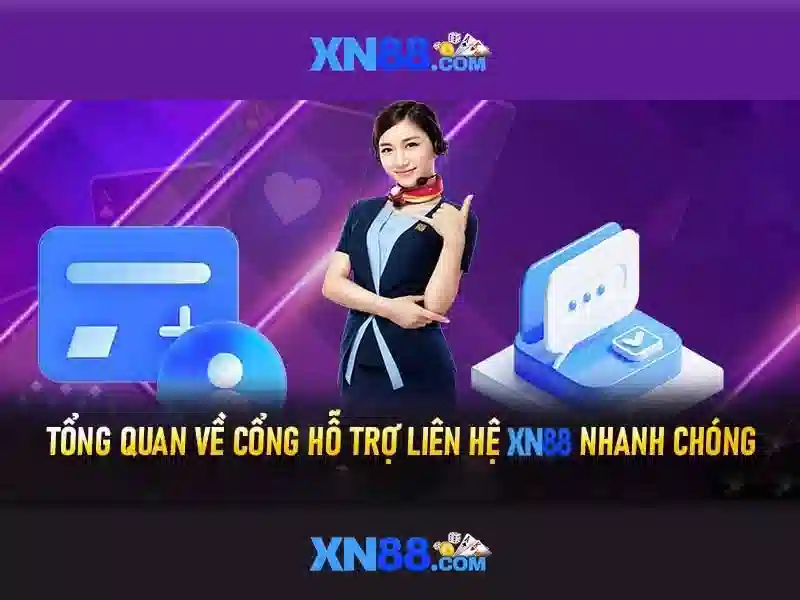Lịch sử và nền tảng