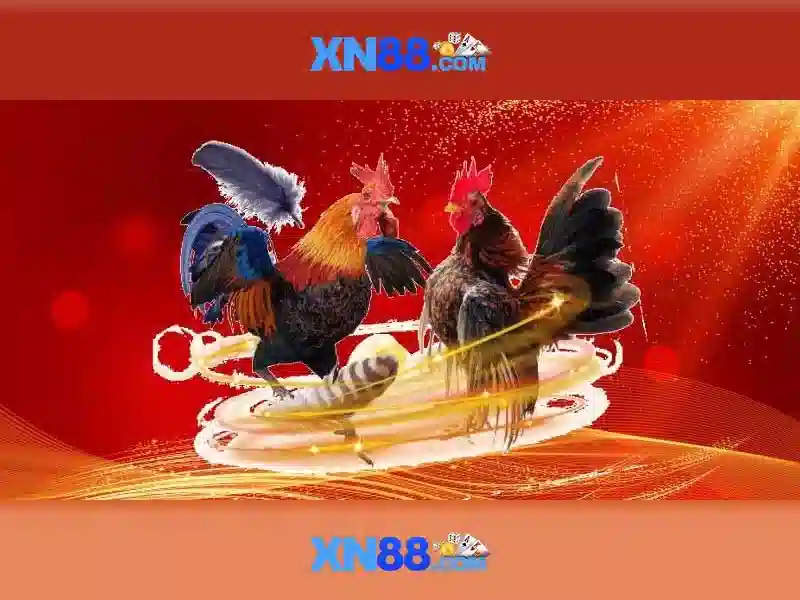 xn88: Tổng quan và trải nghiệm nền tảng trực tuyến