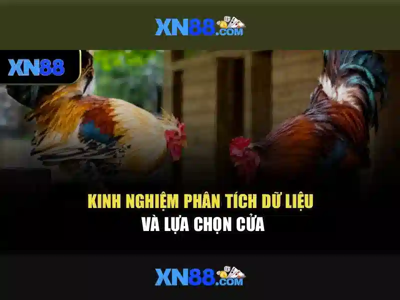 Giới thiệu xn88