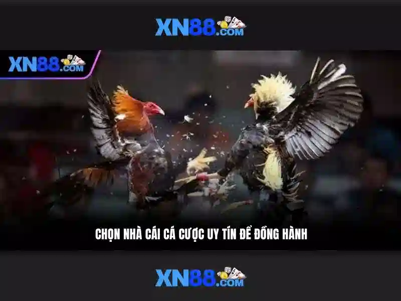 Khuyến mãi và chương trình thưởng\n