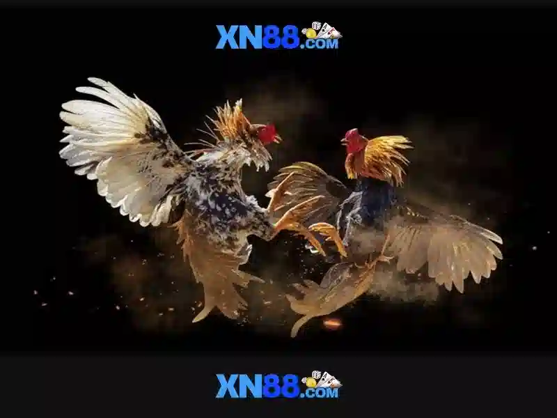 https://corpobellomedicalspa.com.co/images/text/xn88/xn88-text2603121312.webp Đăng ký và nhận thưởng\n\n