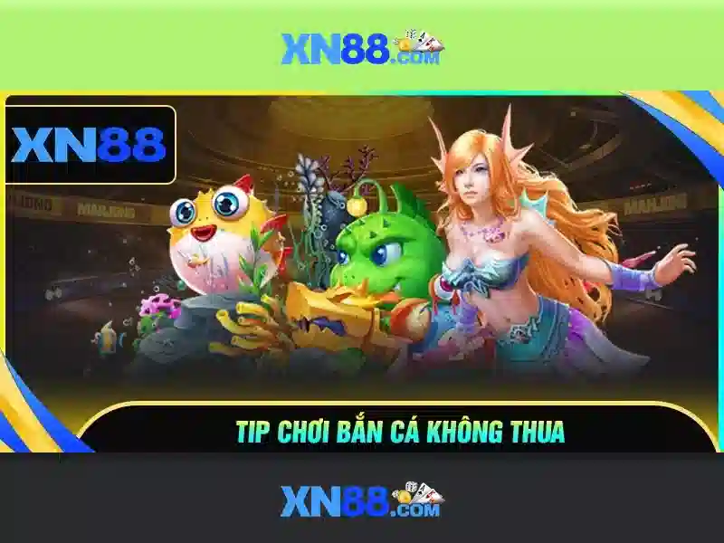 Lịch sử và định hướng phát triển