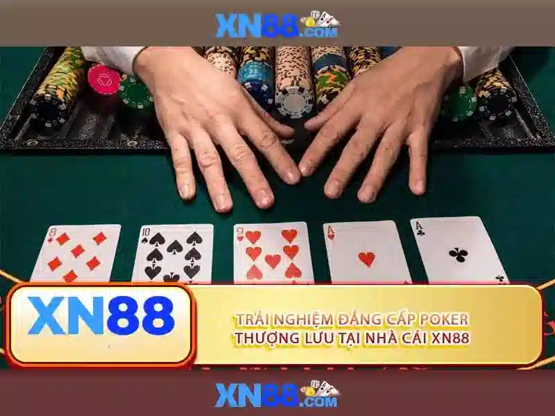 xn88 là một nền tảng giải trí trực tuyến