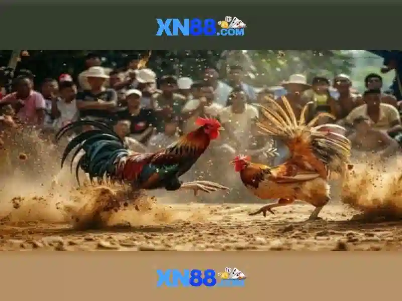 Những điểm nổi bật