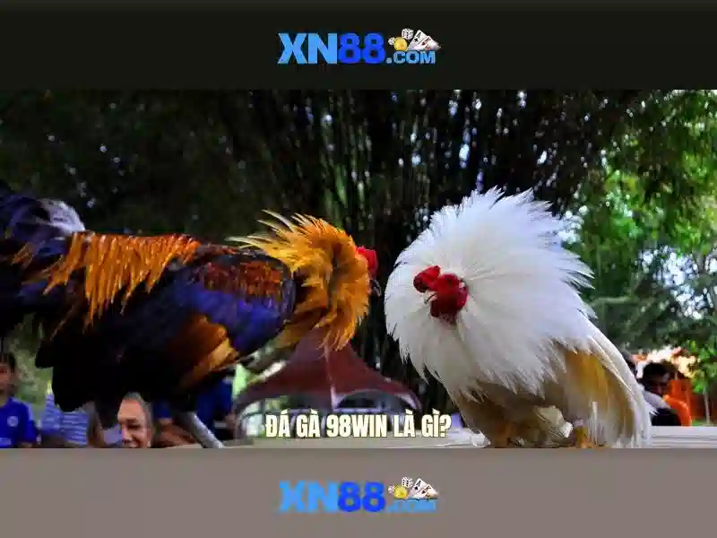 Trò chơi và danh mục