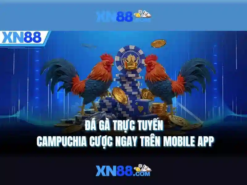 Giao diện nhà cái hoàn hảo