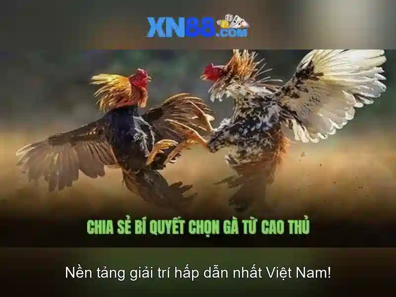 Trò chơi và trải nghiệm người dùng