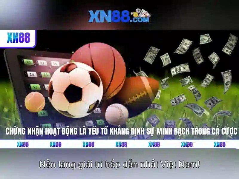 Giao diện nhà cái hoàn hảo