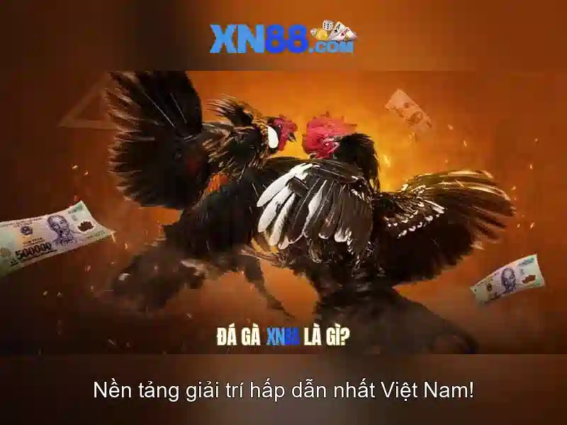 Các trò chơi và tính năng\n\n