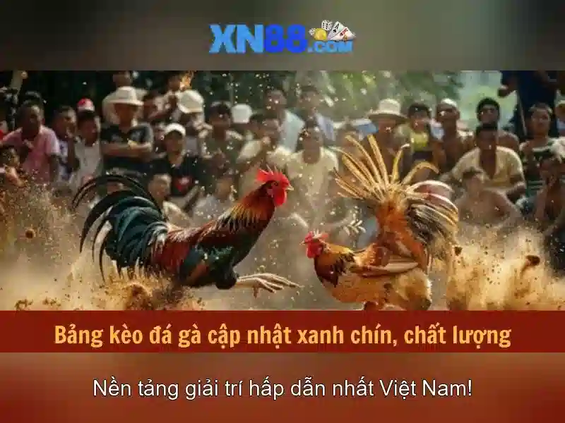 Giới thiệu về xn88