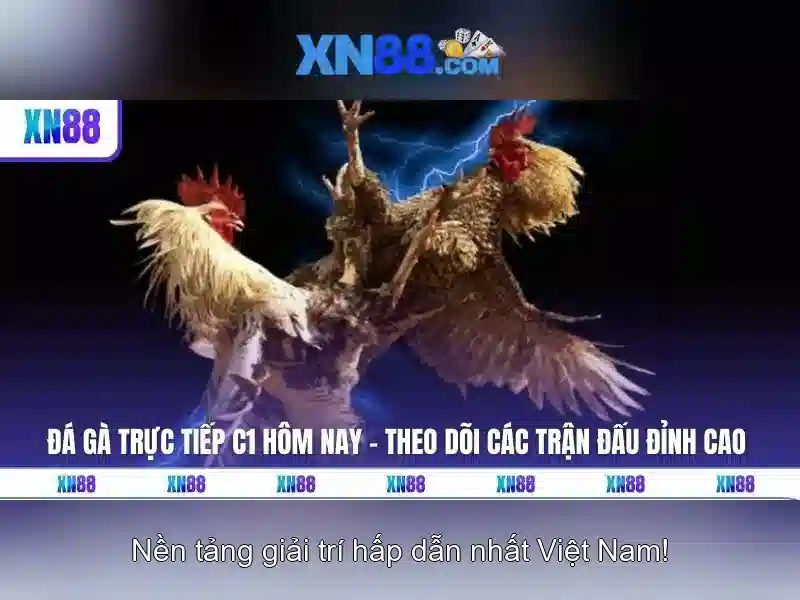 Các tính năng nổi bật\n\n