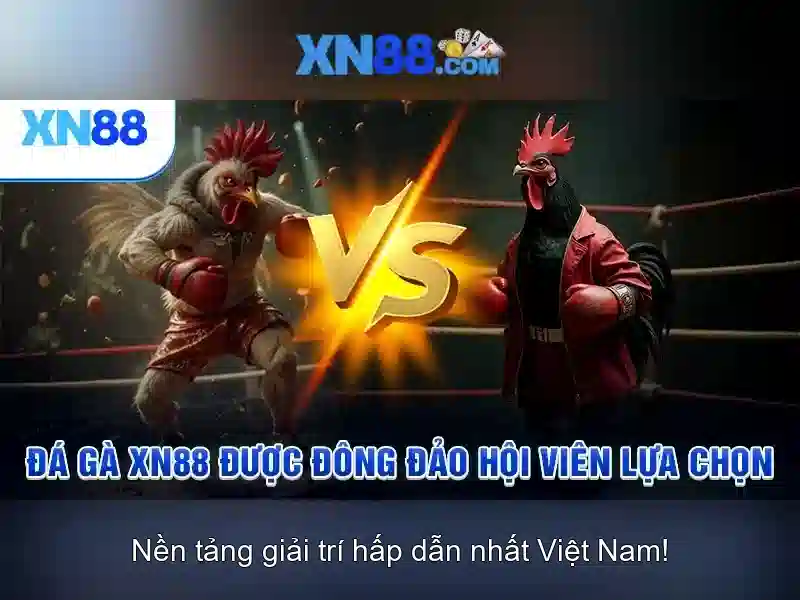 Các tính năng nổi bật của xn88