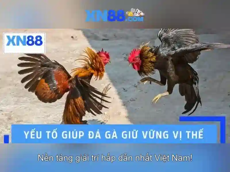 Giới thiệu xn88\n