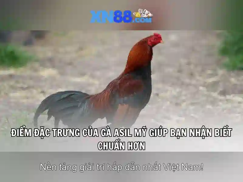 https://corpobellomedicalspa.com.co/images/text/xn88/xn88-text260312871.webp Giới thiệu về xn88