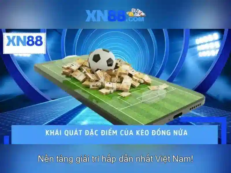 Nền tảng và giao diện