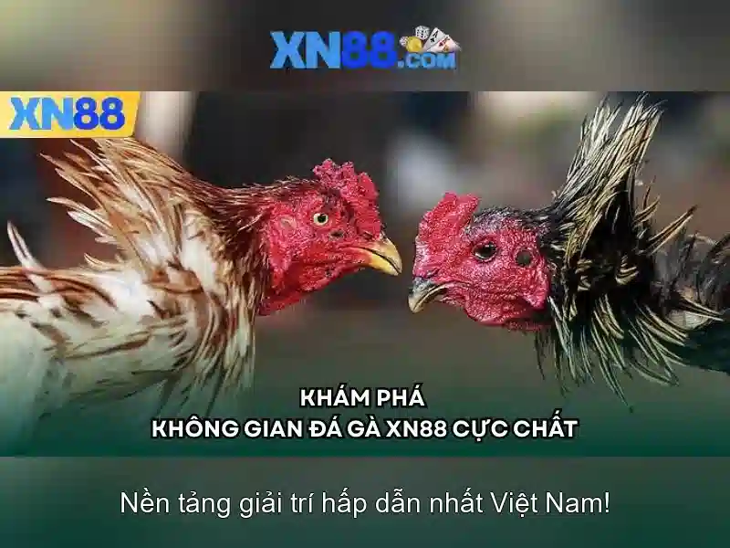 An toàn và trách nhiệm khi tham gia XN88