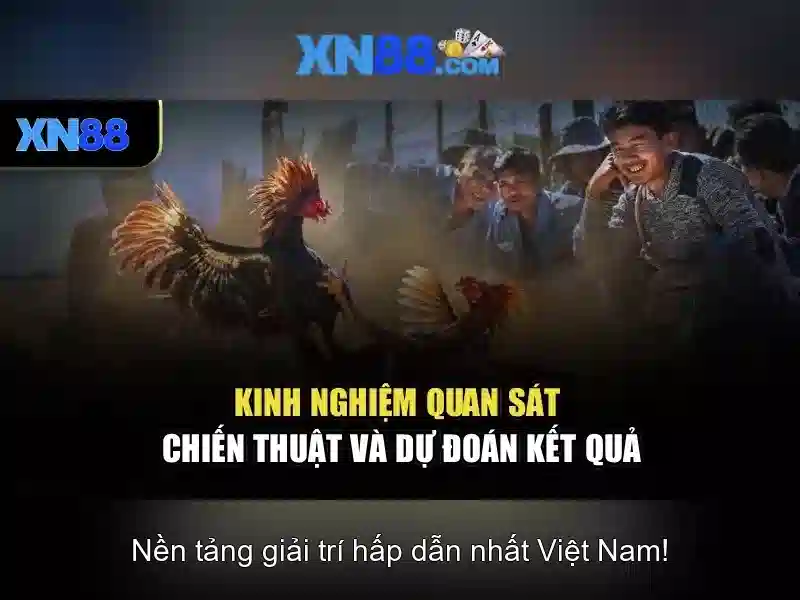 https://corpobellomedicalspa.com.co/images/text/xn88/xn88-text260331604.webp Giới thiệu về xn88\n