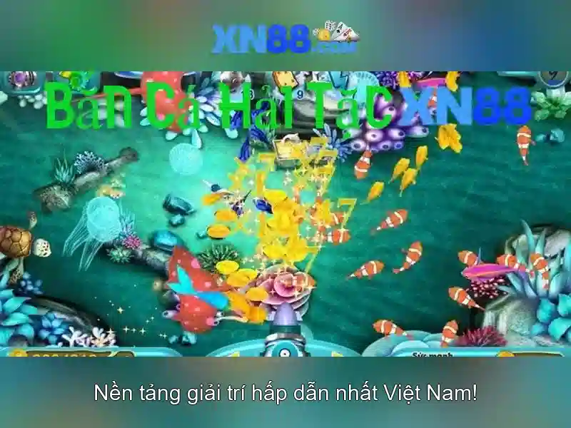 Hướng dẫn tham gia và hỗ trợ
