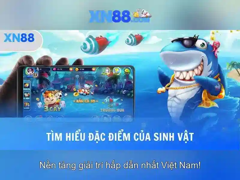 Giao diện nhà cái hoàn hảo