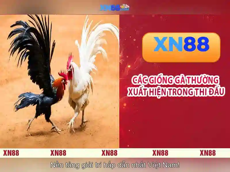 Tính năng nổi bật