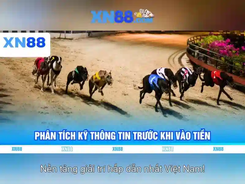 Xn88 và hành trình khám phá