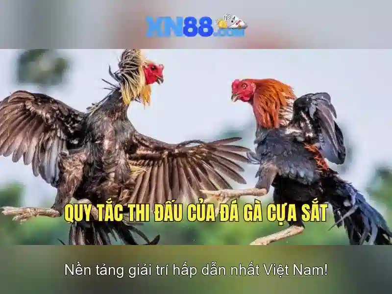 https://corpobellomedicalspa.com.co/images/text/xn88/xn88-text2603121889.webp Đánh giá và cộng đồng