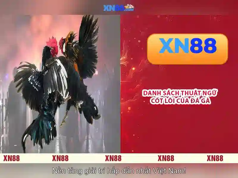 Giới thiệu về xn88\n\n