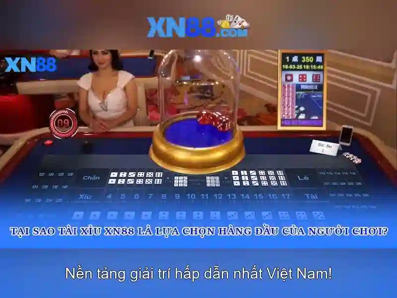 https://corpobellomedicalspa.com.co/images/text/xn88/xn88-text2603311894.webp Lịch sử và nguồn gốc\n